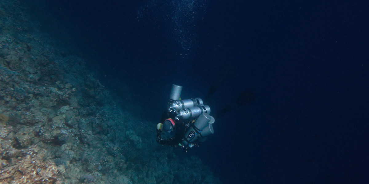 The Lure of the Deep - Jenny Lord